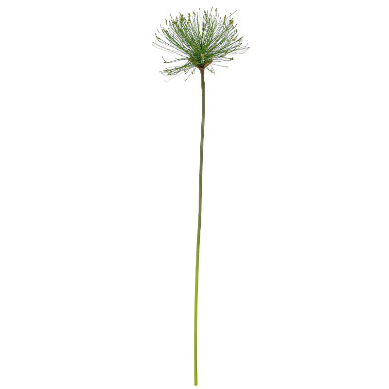 Faux Papyrus Stem, Tall Realistic Allium Grass, 25" or 32" Sculptural Greenery for Vase Filler, Modern Home Decor, DIY Wedding Arrangements
