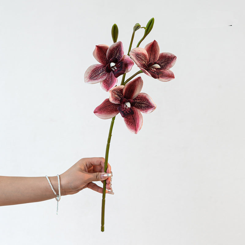 Lifelike 22" Cymbidium Orchid Stem, 3-Bloom Realistic Faux Flower for Elegant Wedding Bouquets, DIY Arrangements, Tall Vase Home Decor