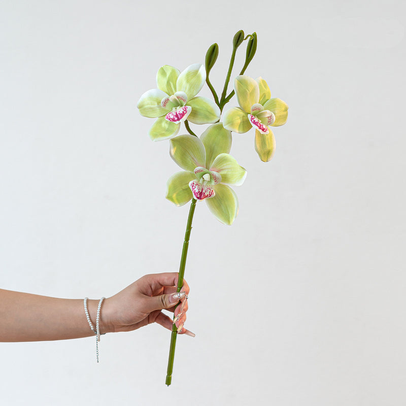 Lifelike 22" Cymbidium Orchid Stem, 3-Bloom Realistic Faux Flower for Elegant Wedding Bouquets, DIY Arrangements, Tall Vase Home Decor