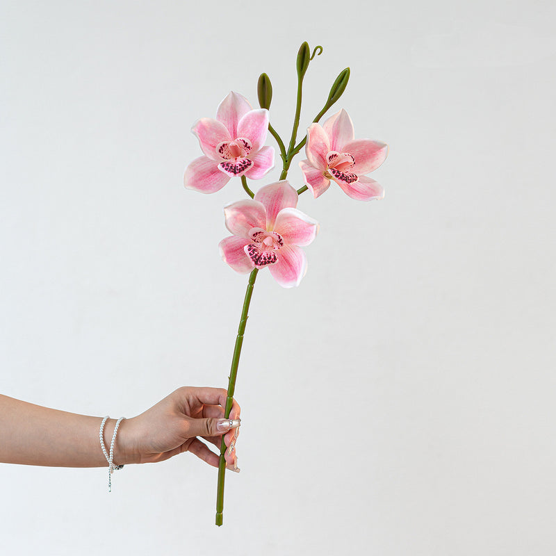Lifelike 22" Cymbidium Orchid Stem, 3-Bloom Realistic Faux Flower for Elegant Wedding Bouquets, DIY Arrangements, Tall Vase Home Decor