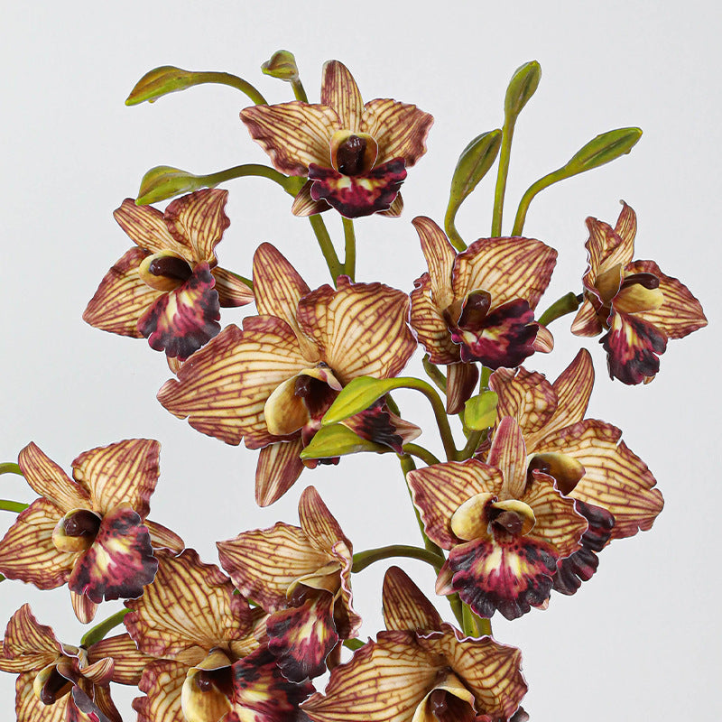 Lifelike Phalaenopsis Orchid Stem, 20" Tall Realistic Faux Flowers for Dreamy DIY Wedding Bouquets, Centerpieces, Modern Home Decor