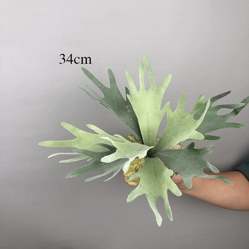 Realistic Faux Air Plant, 20 Inch Deer Horn Succulent Hanging Wall Decor, Silk Artificial Plant for Wedding, Home Decor, Tropical Arrangements