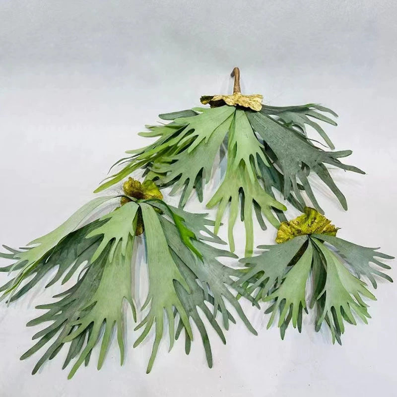 Realistic Faux Air Plant, 20 Inch Deer Horn Succulent Hanging Wall Decor, Silk Artificial Plant for Wedding, Home Decor, Tropical Arrangements