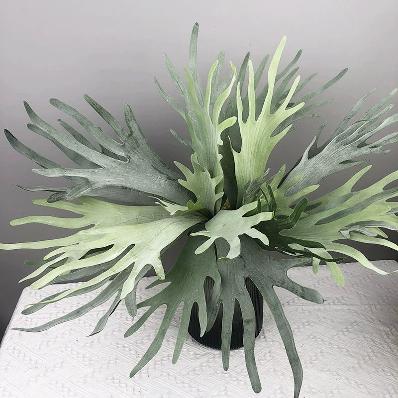 Realistic Faux Air Plant, 20 Inch Deer Horn Succulent Hanging Wall Decor, Silk Artificial Plant for Wedding, Home Decor, Tropical Arrangements