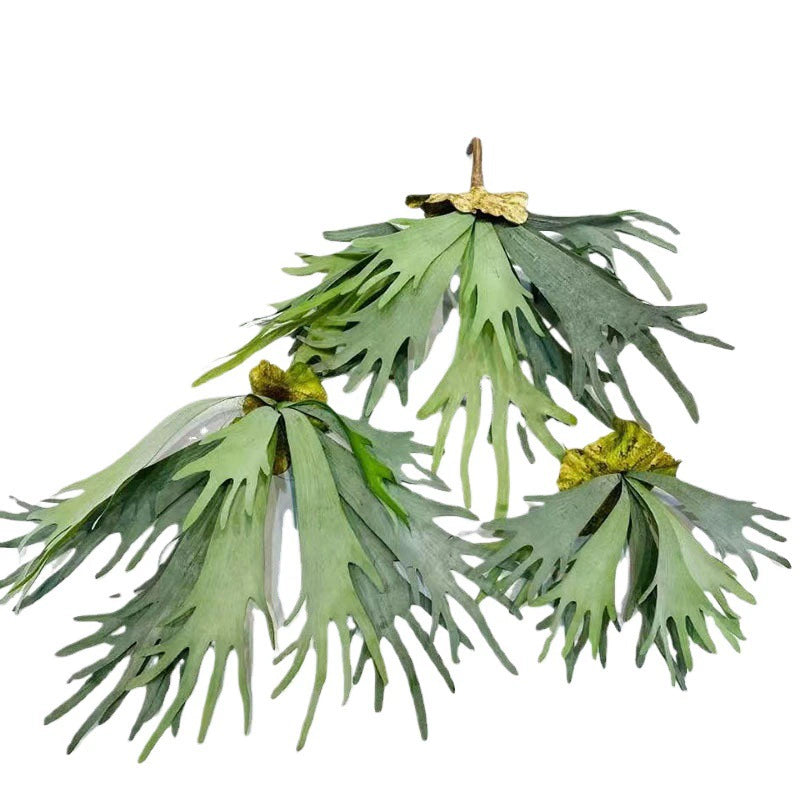 Realistic Faux Air Plant, 20 Inch Deer Horn Succulent Hanging Wall Decor, Silk Artificial Plant for Wedding, Home Decor, Tropical Arrangements