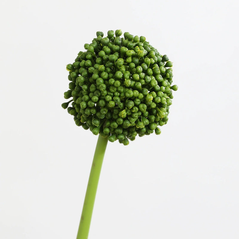 Real-Touch Hydrangea Stems, 21" Artificial Flowers for Home Decor, Weddings, Events, Available in Pink, Green, Cream, Mint