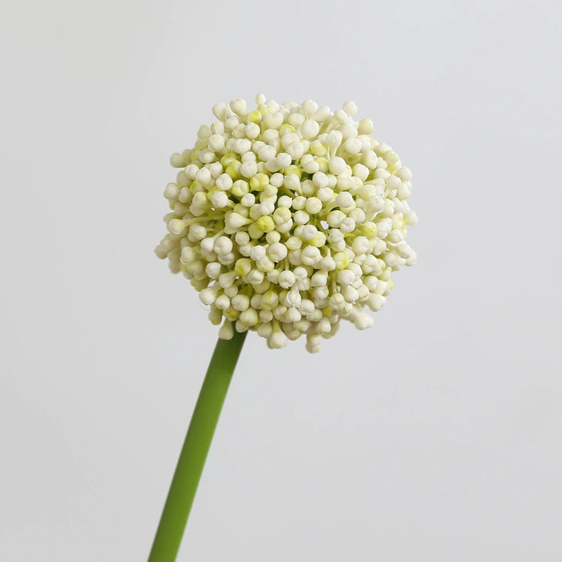 Real-Touch Hydrangea Stems, 21" Artificial Flowers for Home Decor, Weddings, Events, Available in Pink, Green, Cream, Mint