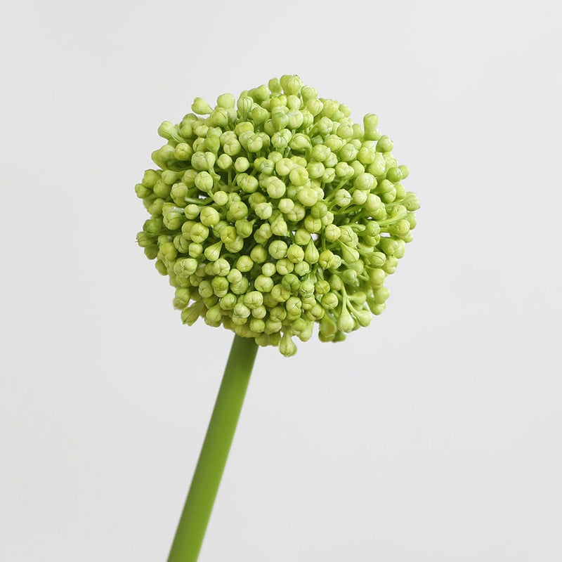 Real-Touch Hydrangea Stems, 21" Artificial Flowers for Home Decor, Weddings, Events, Available in Pink, Green, Cream, Mint