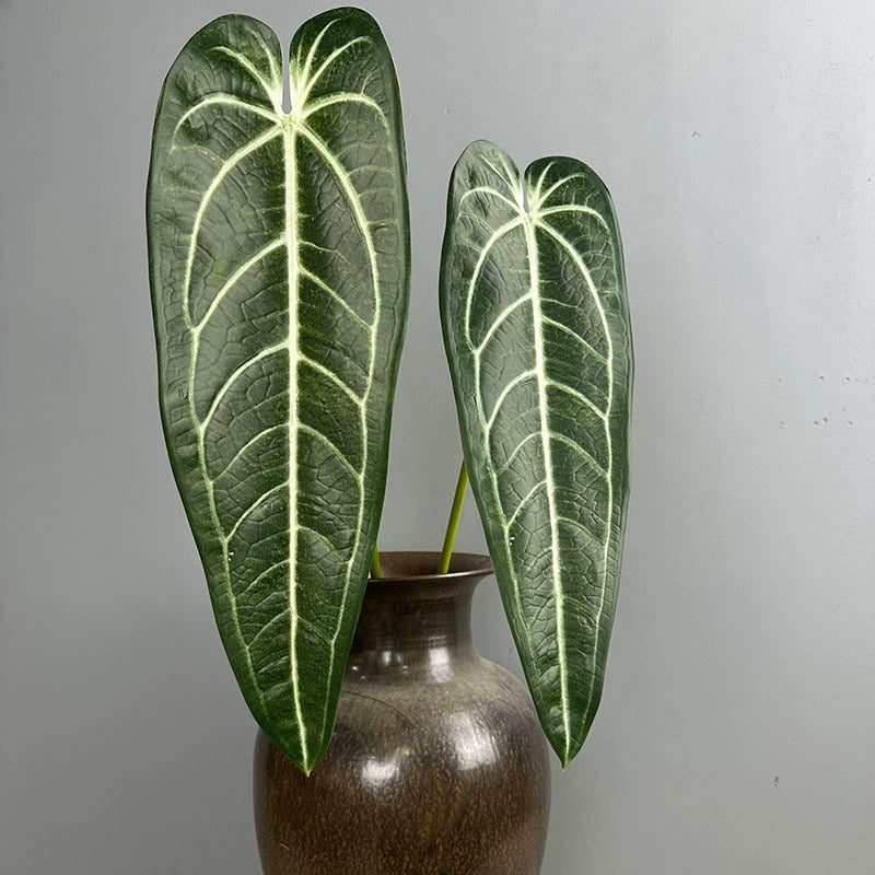 2-Pack Realistic Anthurium Faux Greenery, 35" Long Artificial Leaves, Light Green & Green, Indoor Home Decor, Wedding Centerpieces, Floral Arrangements