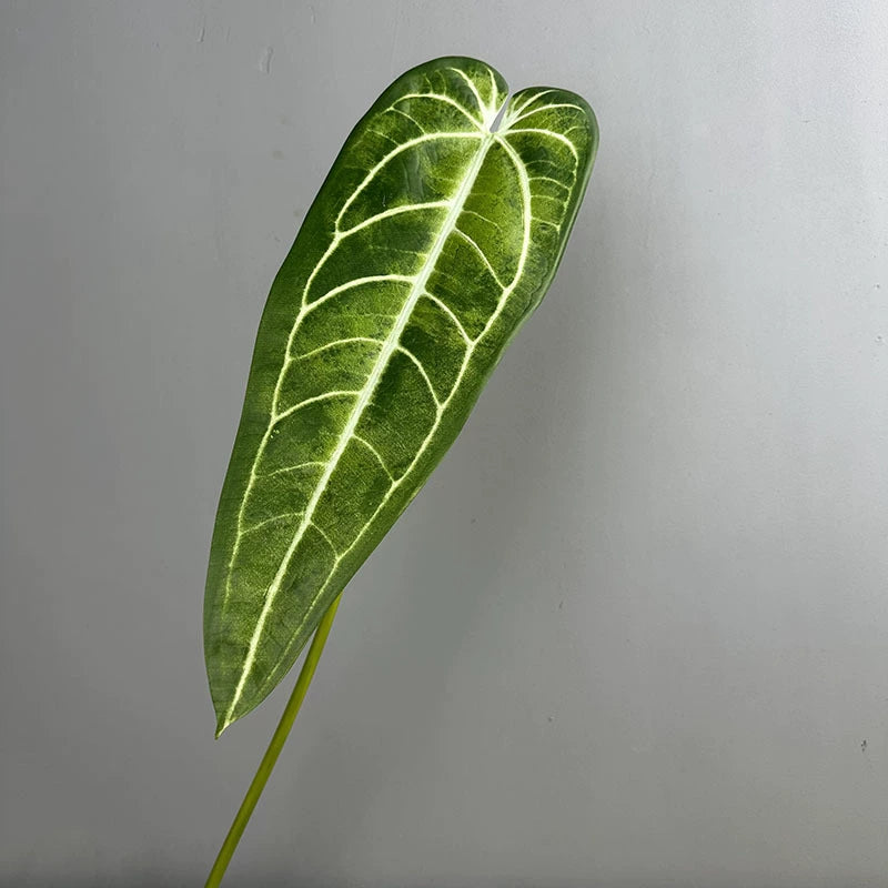 2-Pack Realistic Anthurium Faux Greenery, 35" Long Artificial Leaves, Light Green & Green, Indoor Home Decor, Wedding Centerpieces, Floral Arrangements