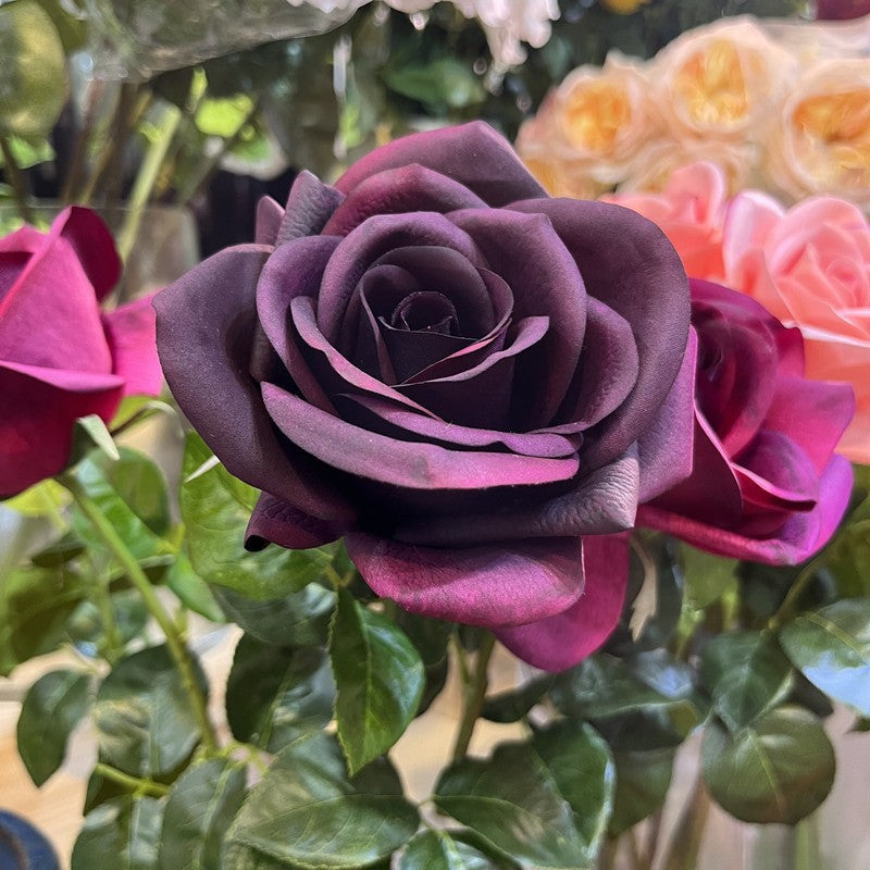 Real-Touch Artificial Carola Rose Stem, 26" Long, 4" Bloom, Perfect for Wedding Bouquets, Home Decor, and Event Arrangements