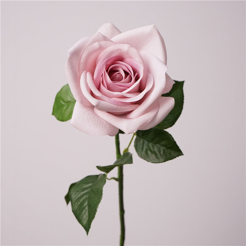 Real-Touch Artificial Carola Rose Stem, 26" Long, 4" Bloom, Perfect for Wedding Bouquets, Home Decor, and Event Arrangements