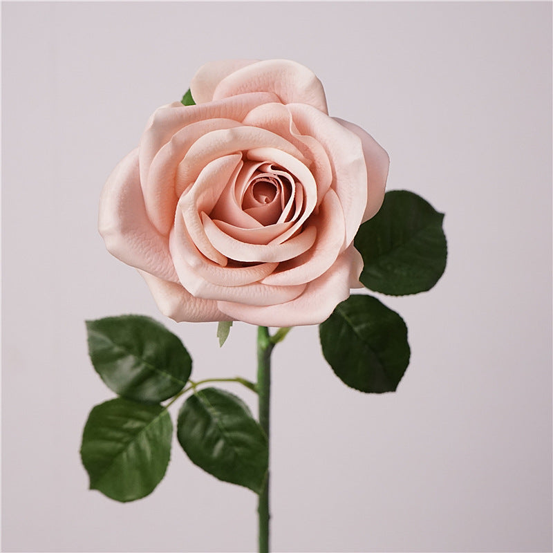 Real-Touch Artificial Carola Rose Stem, 26" Long, 4" Bloom, Perfect for Wedding Bouquets, Home Decor, and Event Arrangements