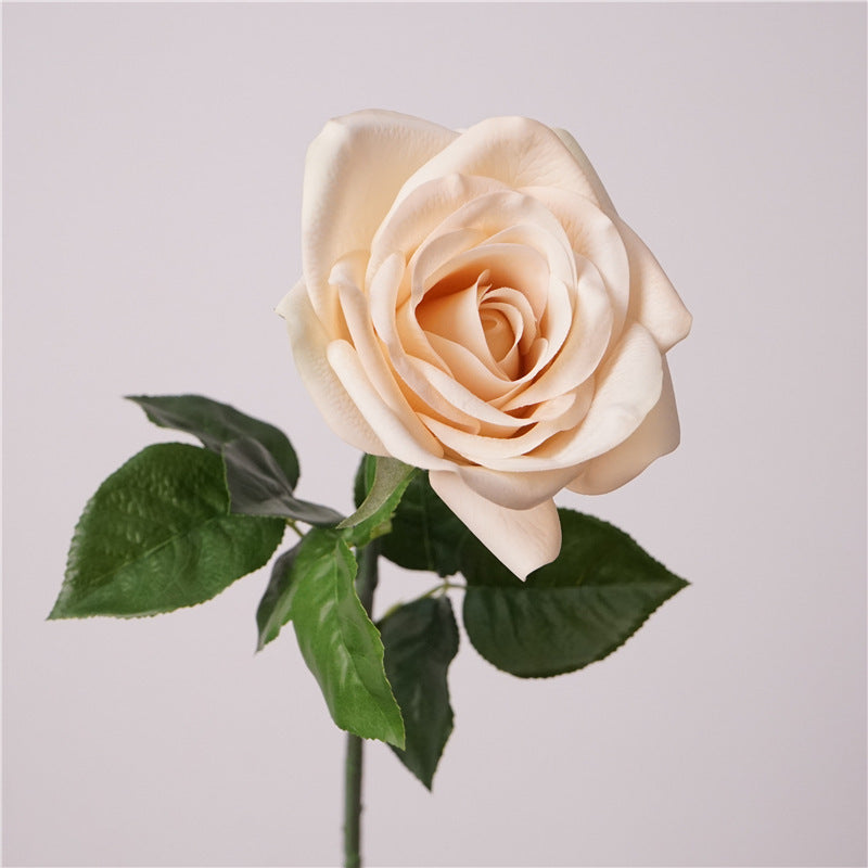 Real-Touch Artificial Carola Rose Stem, 26" Long, 4" Bloom, Perfect for Wedding Bouquets, Home Decor, and Event Arrangements