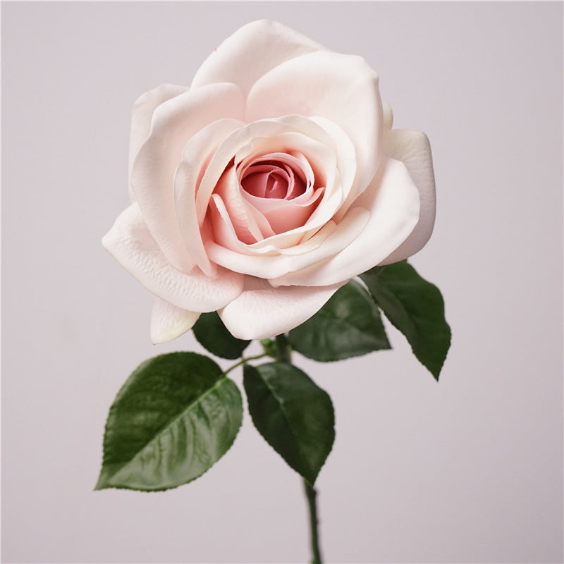 Real-Touch Artificial Carola Rose Stem, 26" Long, 4" Bloom, Perfect for Wedding Bouquets, Home Decor, and Event Arrangements