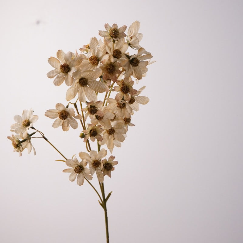 Real-Touch Silk Cosmos Stem, 31" Tall, Cream White, Perfect for Weddings, Home Decor, Floral Arrangements