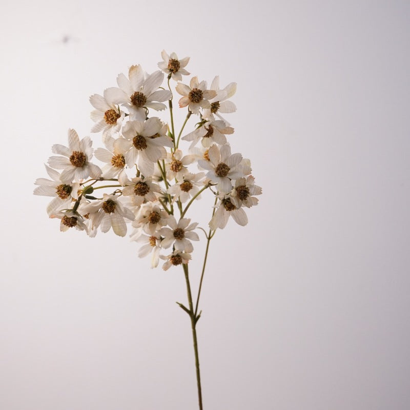 Real-Touch Silk Cosmos Stem, 31" Tall, Cream White, Perfect for Weddings, Home Decor, Floral Arrangements