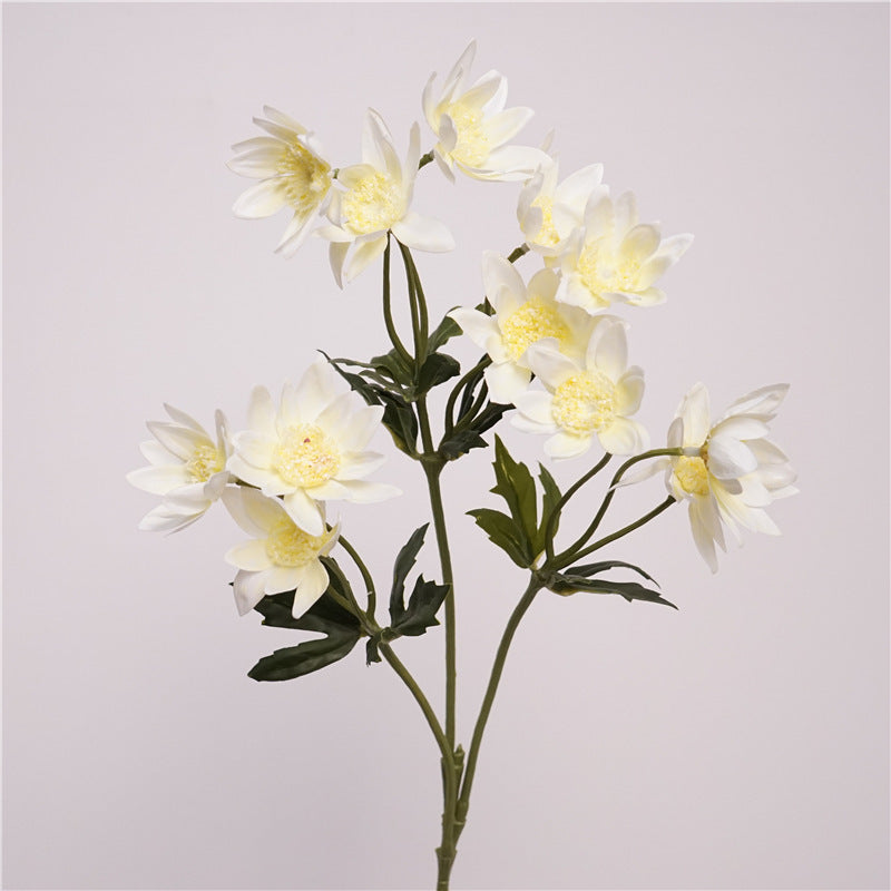 Real-Touch Dandelion Stems, 26" Tall, 12 Blooms per Stem, Perfect for Home Decor, Weddings & Events, DIY Arrangements
