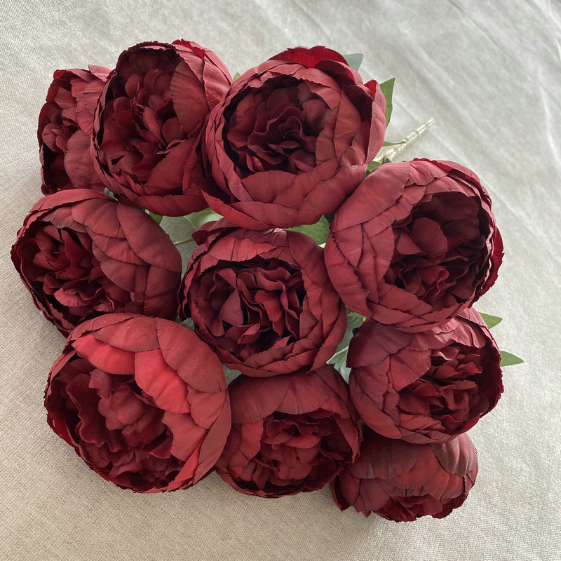 Peony Stems, 10 Blooms per Stem (19" Height, 3" Flower Heads), Ins Modern Style for Weddings, Home Decor, Floral Arrangements