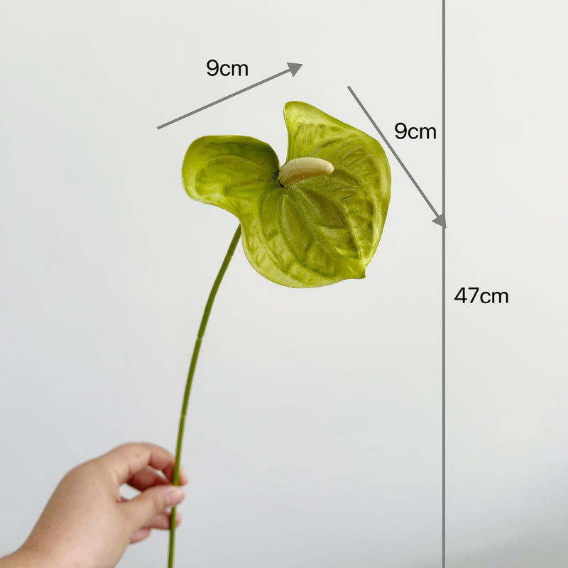 Realistic Mini Pink/Green Anthurium Stem, 19" PU Faux Flower for Vase Arrangements, Wedding Decor, Home Styling