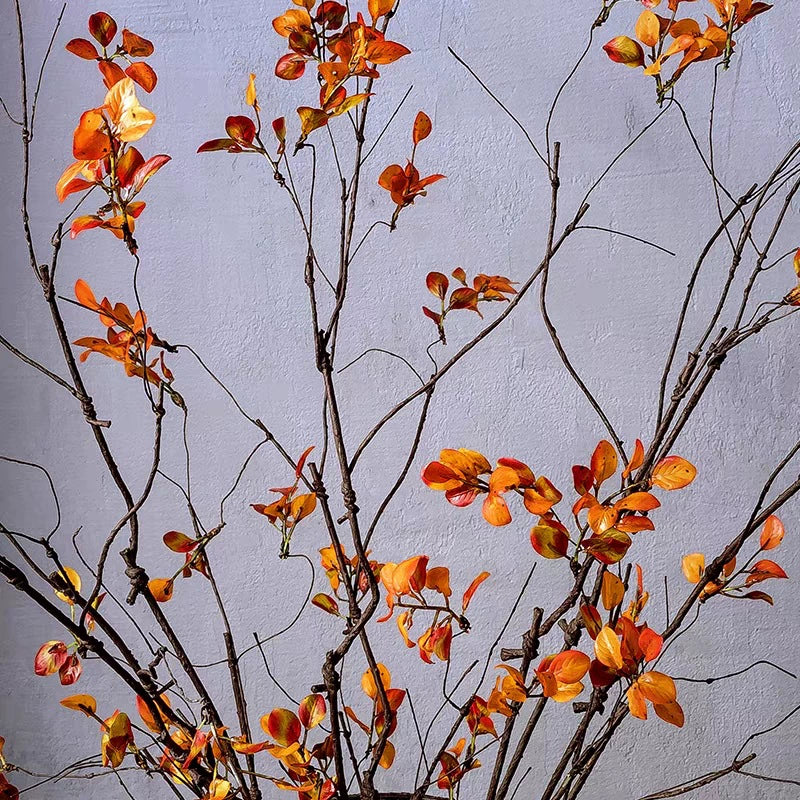 150cm Realistic Red Maple Leaf Branches, Bendable Stems for Fall Decor, Wedding Arrangements, Hotel Displays, Indoor Vase Filler