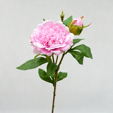 Realistic Peony Stem, 26" Artificial Peony Flower for Home Decor, Wedding Arrangements, DIY Floral Projects