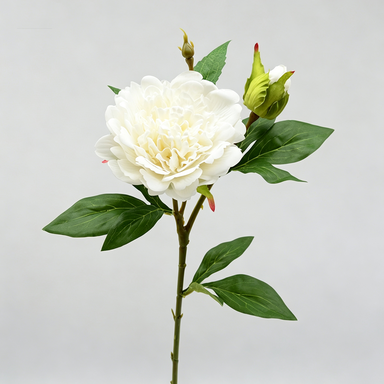 Realistic Peony Stem, 26" Artificial Peony Flower for Home Decor, Wedding Arrangements, DIY Floral Projects