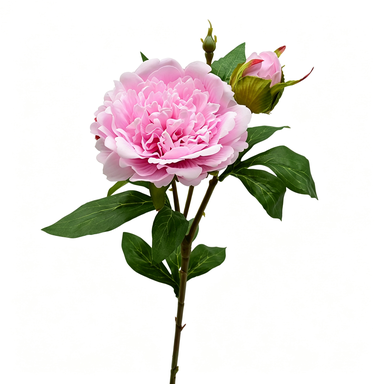 Realistic Peony Stem, 26" Artificial Peony Flower for Home Decor, Wedding Arrangements, DIY Floral Projects