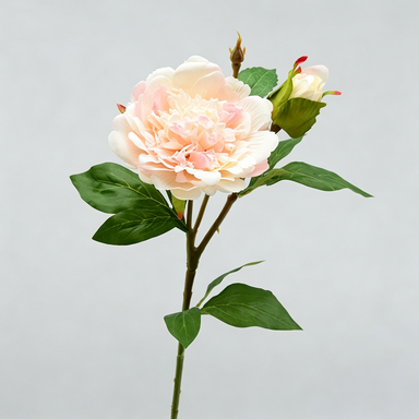 Realistic Peony Stem, 26" Artificial Peony Flower for Home Decor, Wedding Arrangements, DIY Floral Projects