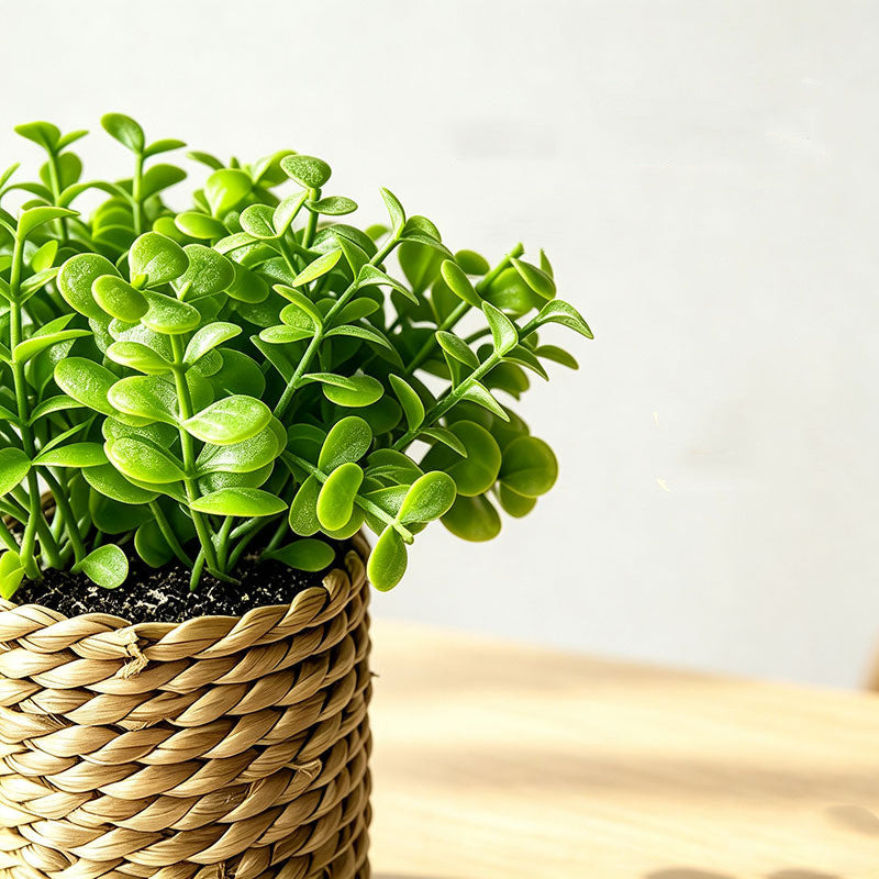 Realistic Artificial Plant Potted Filler, 6" Tall, Mixed Material, Perfect for Home, Office & Event Decor