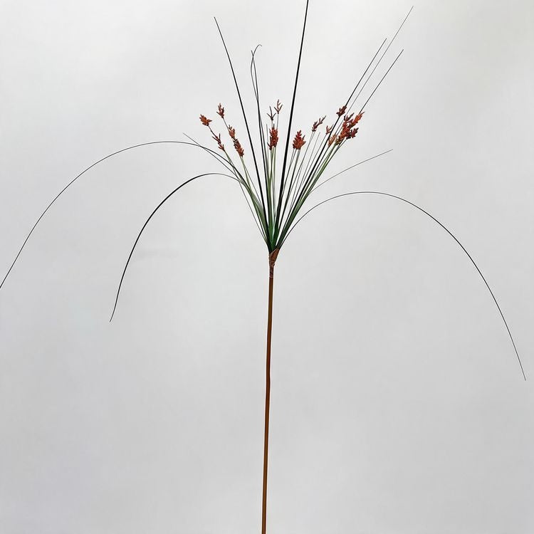 Artificial Umbrella Grass Fountain Grass Stems, Set of 2, 53" Tall, Modern Ins Style, PE/PVC Material, for Office, Hotel, and Home Decor