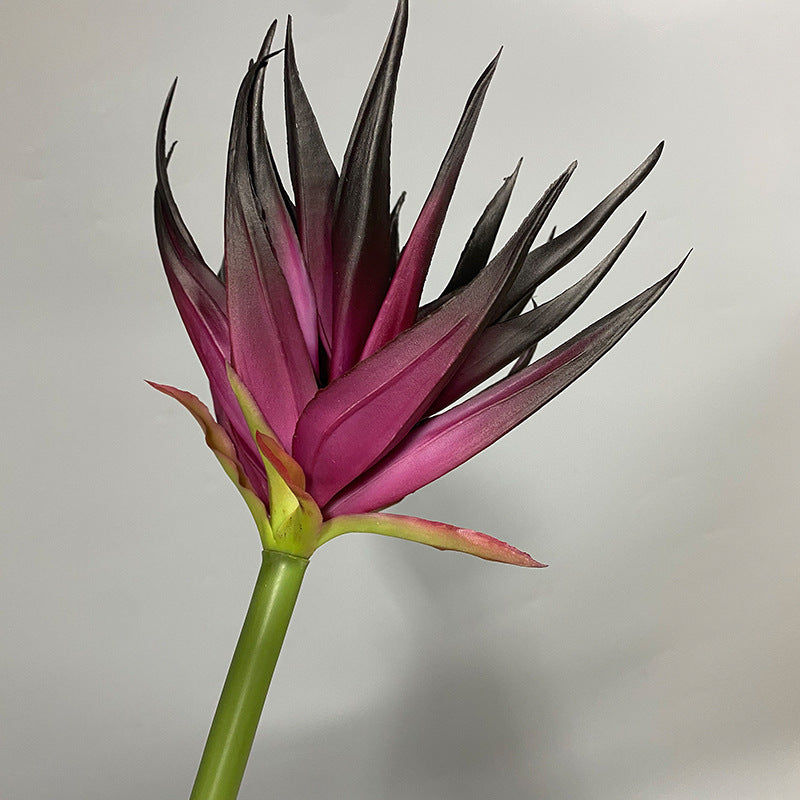 Phoenix Flower Artificial Stem, 33" Tall, Real-Touch Latex, Black Purple, Orange Red, Burgundy, for Home Decor, Wedding Arrangements, Office Displays