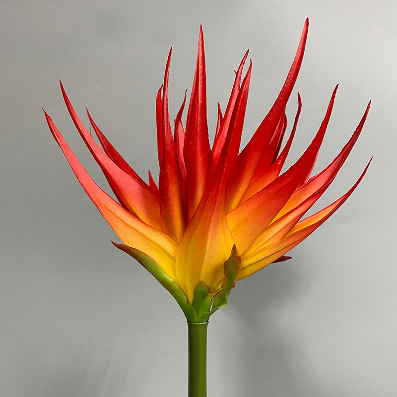 Phoenix Flower Artificial Stem, 33" Tall, Real-Touch Latex, Black Purple, Orange Red, Burgundy, for Home Decor, Wedding Arrangements, Office Displays