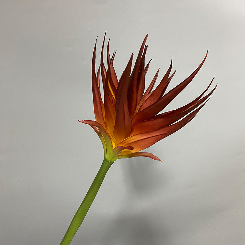 Phoenix Flower Artificial Stem, 33" Tall, Real-Touch Latex, Black Purple, Orange Red, Burgundy, for Home Decor, Wedding Arrangements, Office Displays
