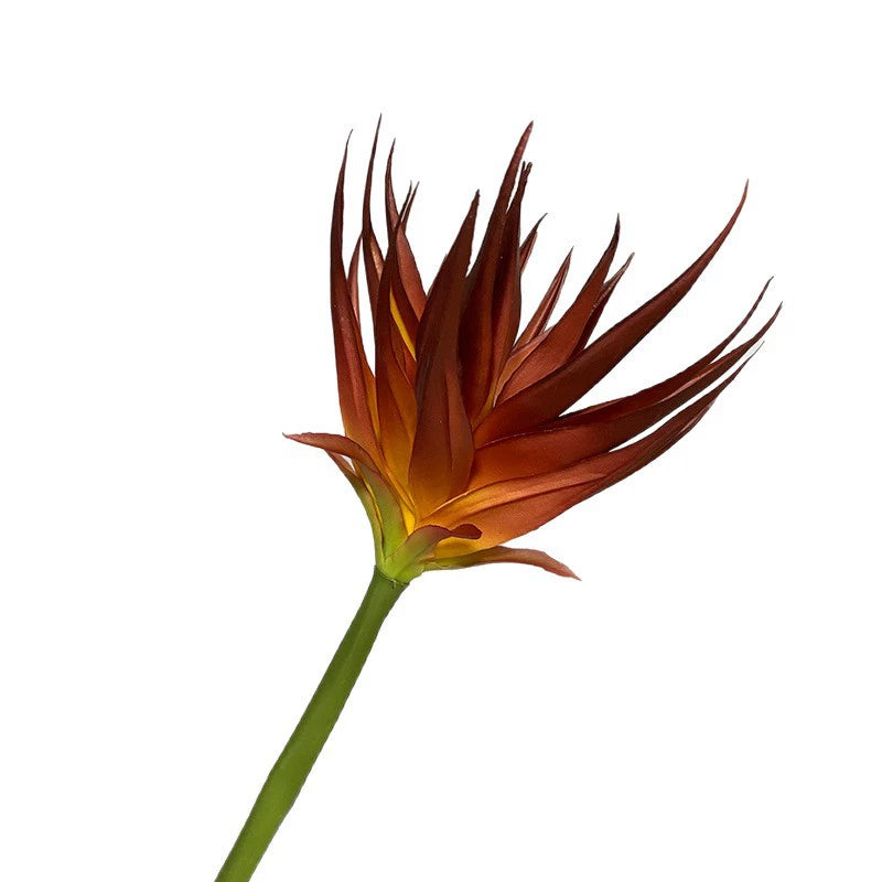 Phoenix Flower Artificial Stem, 33" Tall, Real-Touch Latex, Black Purple, Orange Red, Burgundy, for Home Decor, Wedding Arrangements, Office Displays