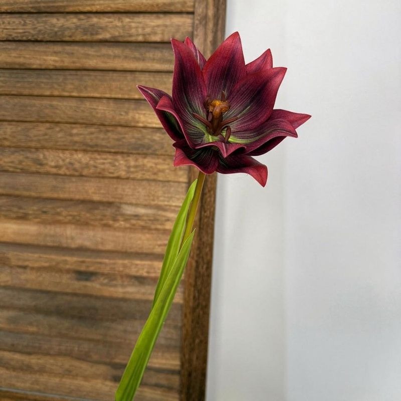 Single Stem Artificial Koloon Flower, 28" Tall, Realistic EVA Material, Perfect for Weddings & Home Decor