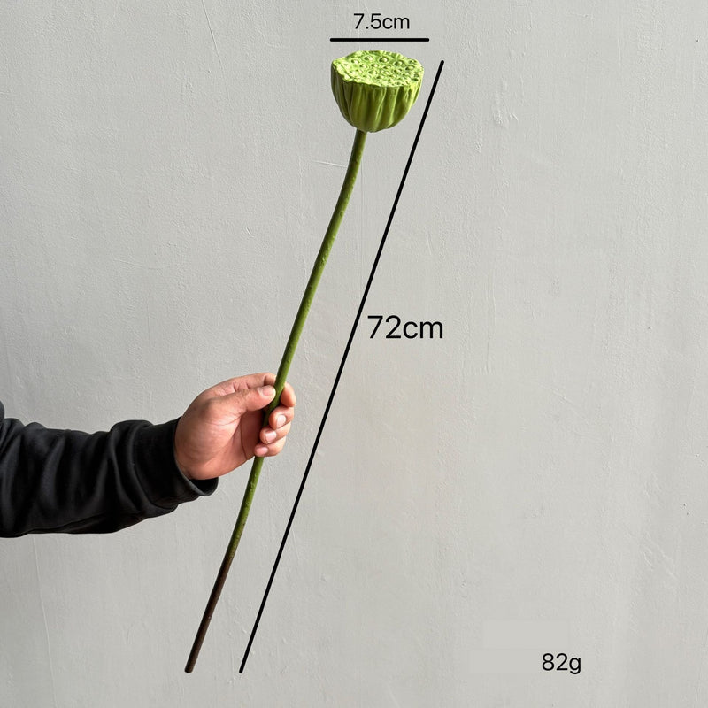 Artificial Lotus Single Stem, 31" Tall, Silk-Like Fabric, for Home Decor & Events
