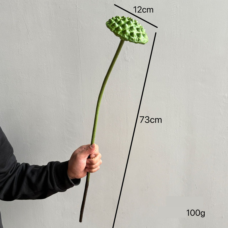 Artificial Lotus Single Stem, 31" Tall, Silk-Like Fabric, for Home Decor & Events