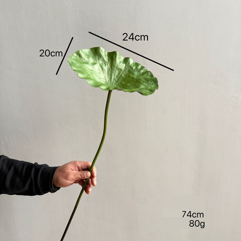 Artificial Lotus Single Stem, 31" Tall, Silk-Like Fabric, for Home Decor & Events