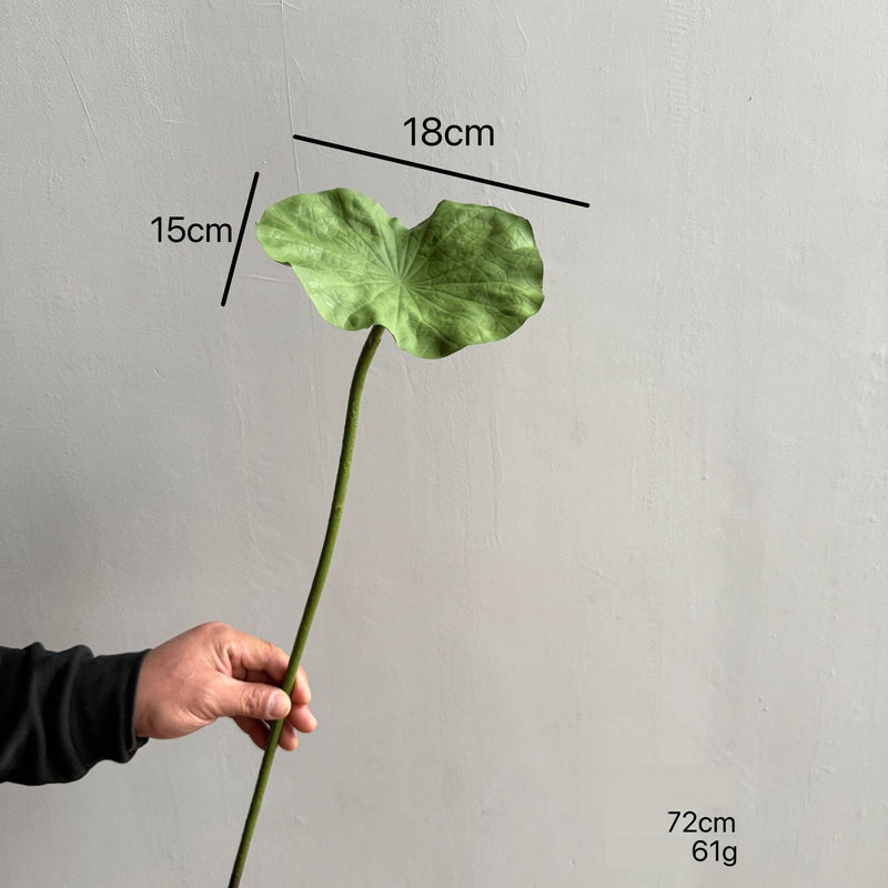 Artificial Lotus Single Stem, 31" Tall, Silk-Like Fabric, for Home Decor & Events