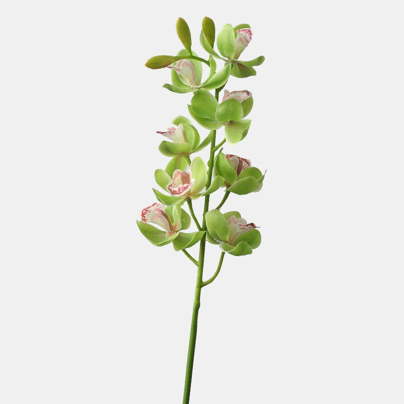 Single Stem Artificial Phalaenopsis Orchid, 69cm Long, 8 Blooms, PE/PVC Material, Modern Green Décor for Home, Office, or Events