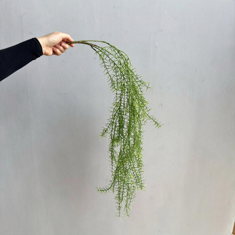 Artificial Asparagus Fern Hanging Vine, 35" Indoor Trailing Plant, PE Material, Perfect for Home & Office Decor