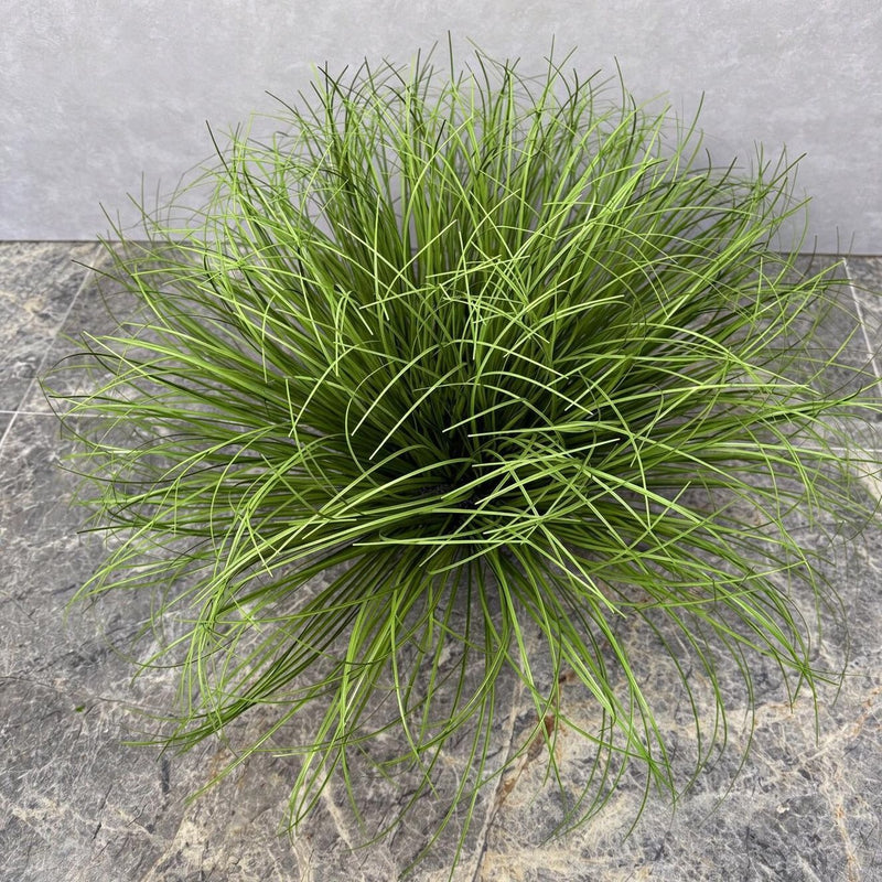 Artificial Cattail Grass Bush, 12" Tall, Plastic, Indoor/Outdoor Decor for Home, Office, Weddings, Events