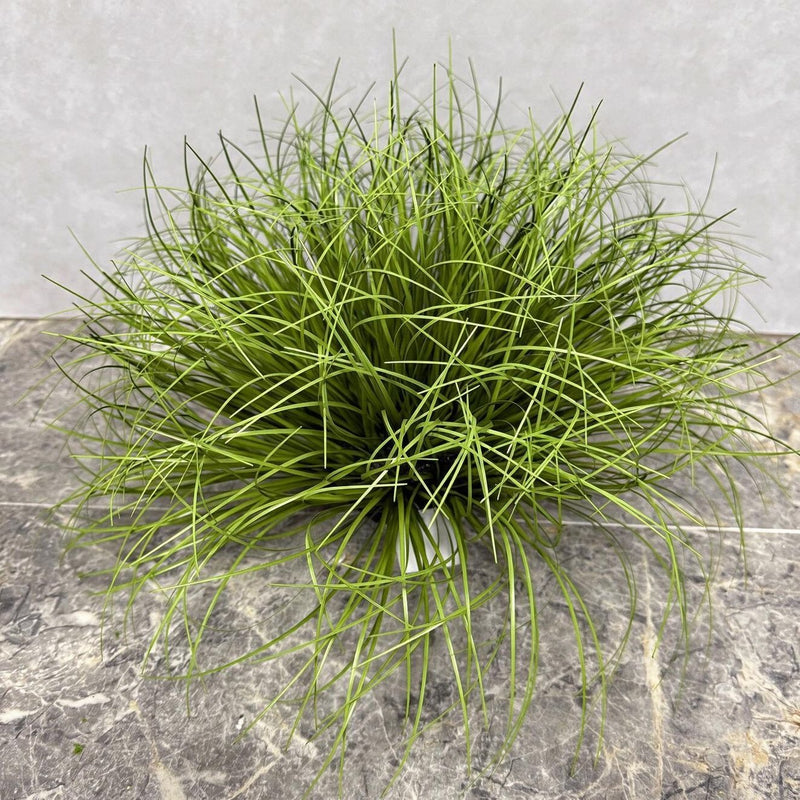 Artificial Cattail Grass Bush, 12" Tall, Plastic, Indoor/Outdoor Decor for Home, Office, Weddings, Events