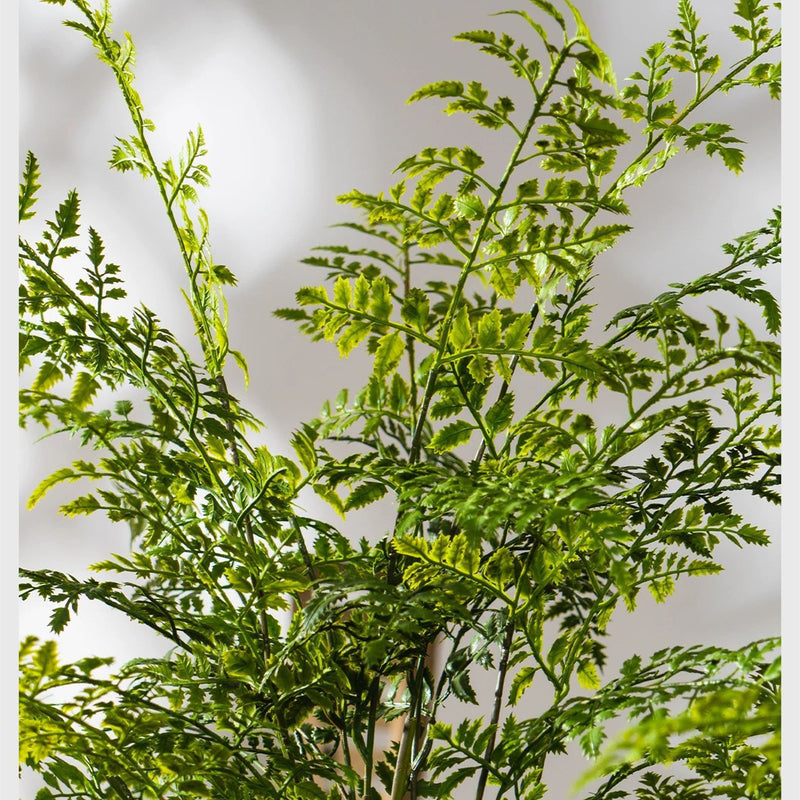 Artificial Fern Potted Plant with Terracotta Pot, 31" Tall, Realistic Indoor Outdoor Decor