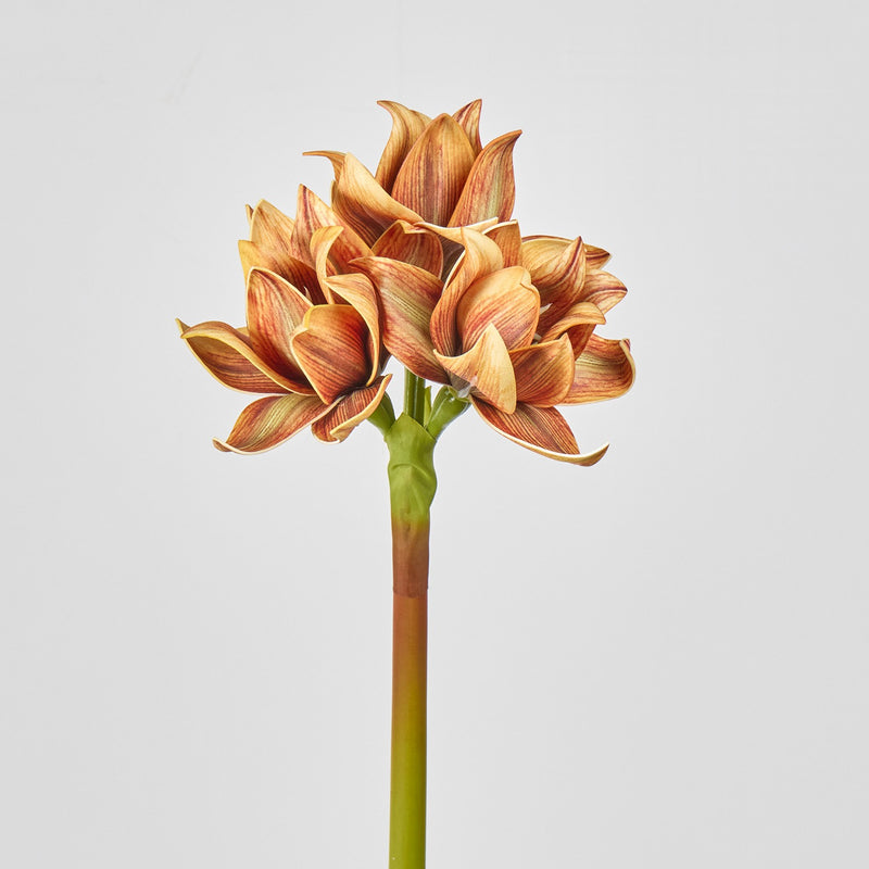 Artificial Clivia Bush with 3 Blooms, 22" Tall, Plastic Material, for Weddings, Home Decor, and Events