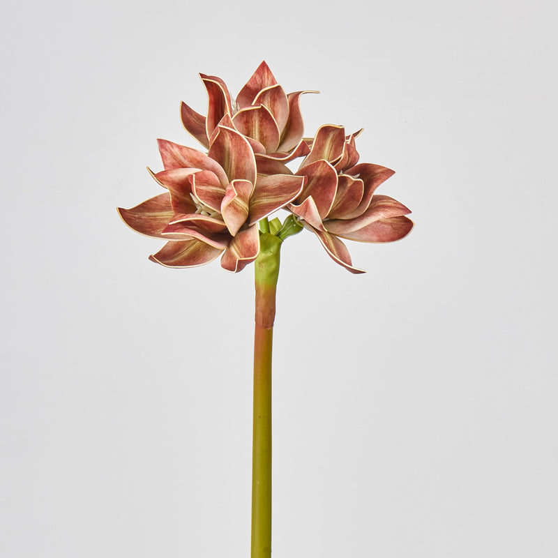 Artificial Clivia Bush with 3 Blooms, 22" Tall, Plastic Material, for Weddings, Home Decor, and Events