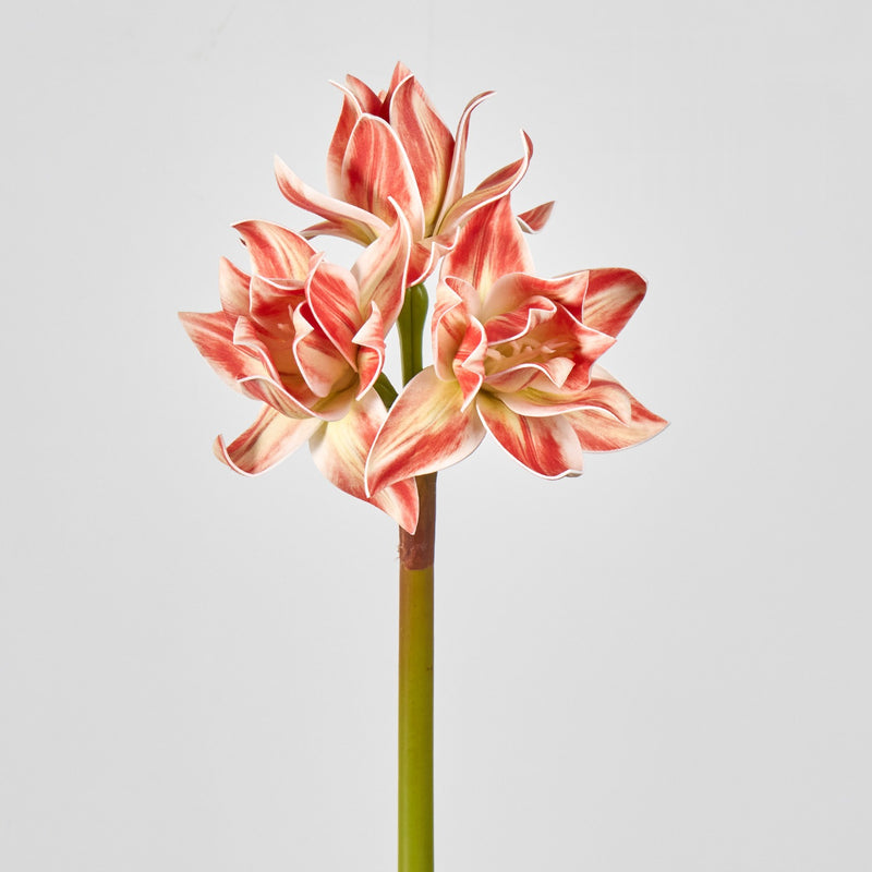 Artificial Clivia Bush with 3 Blooms, 22" Tall, Plastic Material, for Weddings, Home Decor, and Events
