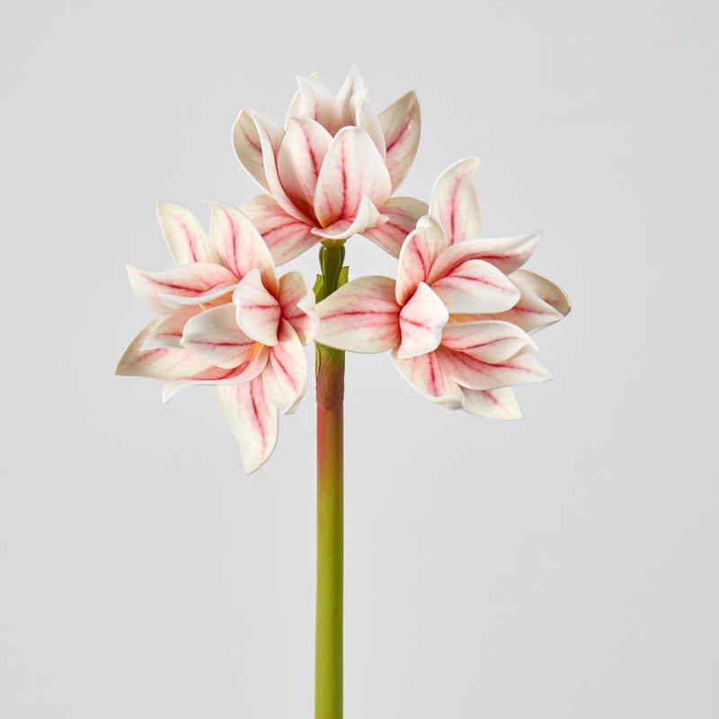 Artificial Clivia Bush with 3 Blooms, 22" Tall, Plastic Material, for Weddings, Home Decor, and Events