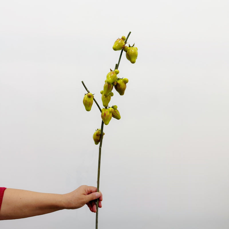 Artificial Golden Fruit Bush with 10 Fruits, Faux Citrus Branch, Tall Plastic Foam Stem for Home, Wedding & Display